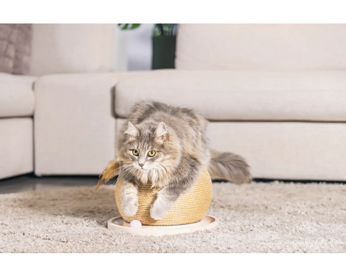 Katze auf einem Kratzbaum mit Spielzeug in einem Wohnzimmer