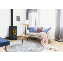 Kaminofen Firefix Silla Stahl schwarz 6,6 kW