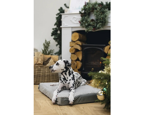 Dalmatiner liegt auf Hundebett vor Kamin und Weihnachtsdekoration