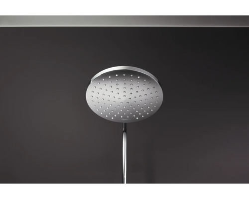 Runde Kopfbrause aus Metall mit Brausearm