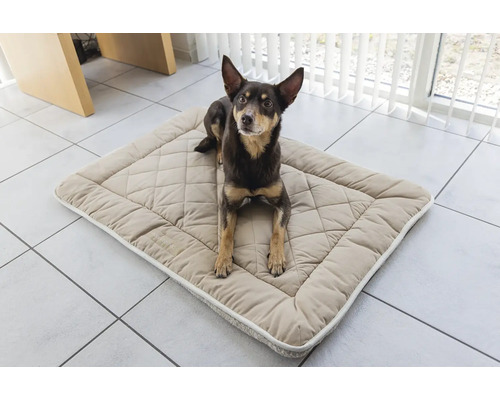 Hund liegt auf einer gesteppten Hundematte im Innenbereich