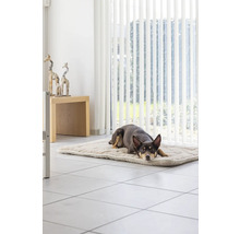 Hund liegt auf einer Hundematte in einem hellen Raum