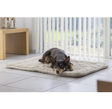 Hund liegt auf einer gesteppten Hundematte im Innenbereich
