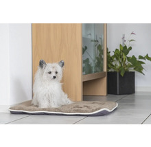 Schmutzmatte beeztees Nano Canvas Sleeper Grau 49 x 36 cm grau Mikrofaser, Microfaser