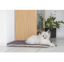 Schmutzmatte beeztees Nano Canvas Sleeper Grau 49 x 36 cm grau Mikrofaser, Microfaser