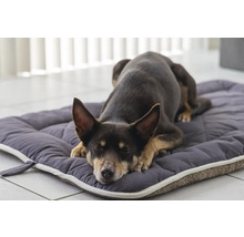 Schmutzmatte beeztees Nano Canvas Sleeper Cush 89 x 60 cm grau Mikrofaser, Microfaser