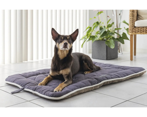Hund liegt auf einer gesteppten Hundematte