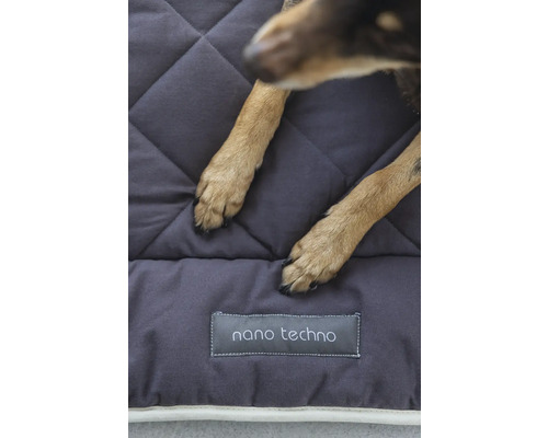 Hund auf gestepptem Hundebett mit Nano Techno Aufdruck