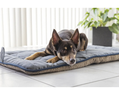 Hund liegt auf einem Hundebett