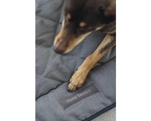Hund auf einem grauen Hundebett mit der Aufschrift Nano Techno