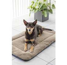 Schmutzmatte beeztees Nano Ch Sleeper Cush 109 x 69 cm grau Mikrofaser, Microfaser