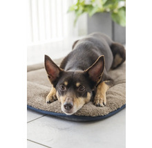 Schmutzmatte beeztees Nano Ch Sleeper Cush 109 x 69 cm grau Mikrofaser, Microfaser