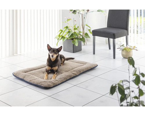 Hund liegt auf einer Hundedecke in einem hellen Raum