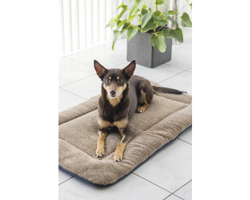 Hund liegt auf einem Hundebett aus Textil