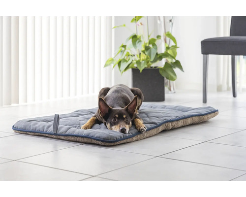 Hund liegt auf einer grauen Hundematte im Innenraum.