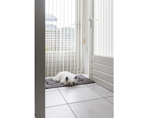 Hund liegt auf einer Fußmatte in Knochenform vor einer Tür mit Jalousien