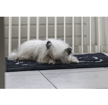 Schmutzmatte Dirty Dog Türmatte Pfote90 x 66 cm schwarz Mikrofaser, Microfaser