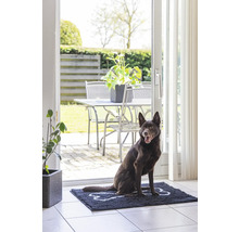 Schmutzmatte Dirty Dog Türmatte Pfote90 x 66 cm schwarz Mikrofaser, Microfaser