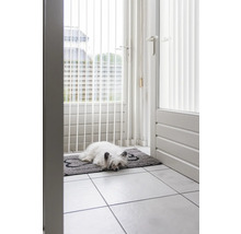 Schmutzmatte Dirty Dog Türmatte Knochen90 x 66 cm grau Mikrofaser, Microfaser