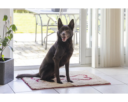 Brauner Hund sitzt auf einer Fußmatte mit Knochenmuster vor einer Terrassentür.