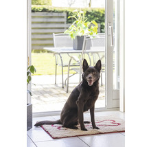 Hund sitzt auf einer Fußmatte mit Knochenmuster vor einer Terrassentür
