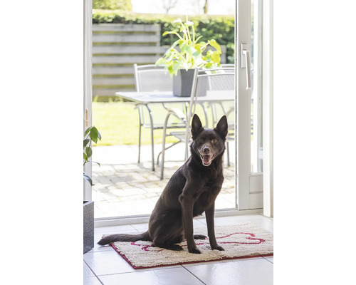 Hund sitzt auf einer Fußmatte mit Knochenmuster vor einer Terrassentür