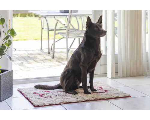 Ein Hund sitzt auf einer Fußmatte im Innenbereich