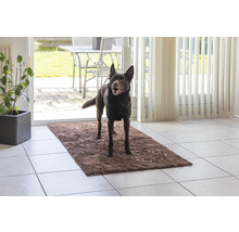 Schmutzmatte Dirty Dog Türmatte Runner Pfoten152 x 76 cm braun Mikrofaser, Microfaser