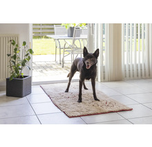 Schmutzmatte Dirty Dog Türmatte Runner Pfoten152 x 76 cm beige Mikrofaser, Microfaser