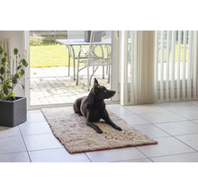 Ein dunkler Hund liegt auf einer hellen Matte vor einer Terrassentür.