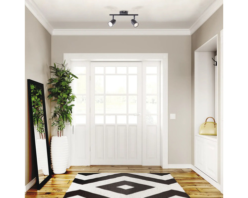 Eingangsbereich mit Deckenleuchte, Spiegel, Pflanze und Teppich