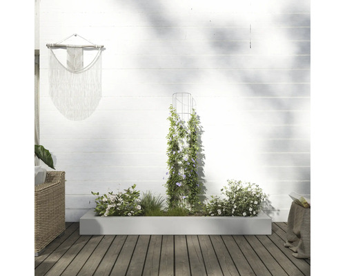 Außenbereich mit bepflanztem Pflanzkasten, Rankhilfe und Wanddekoration