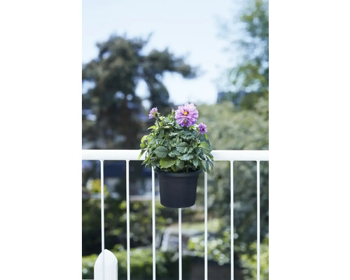 LISSEK Balkon-Blumentopf 3er Set – Weiß/Schwarz, ø 28 Cm, Höhe 25 Cm Inkl. Kabelbinder