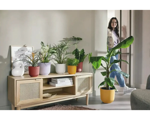 Wohnzimmer mit Holzschrank, Pflanzen in farbigen Übertöpfen und einer Frau im Hintergrund.