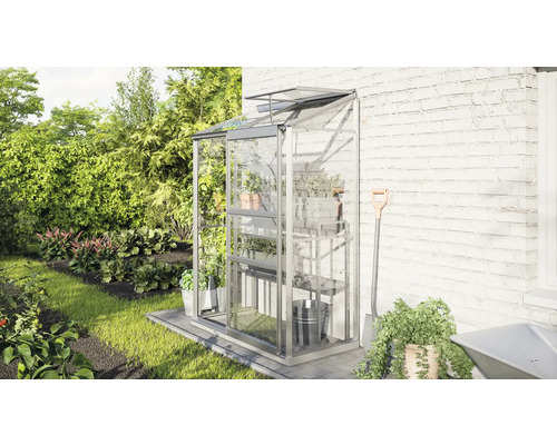 Anlehn-Gewächshaus aus Glas mit Regalen an einer Hauswand im Garten