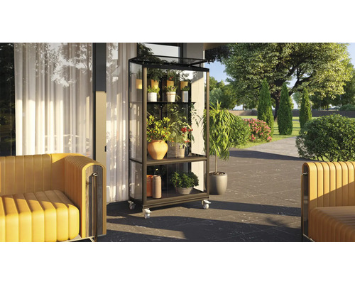 Gewächshausregal mit Pflanzen auf einer Terrasse