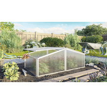 Gewächshaus im Garten mit Gartengeräten und Schubkarre
