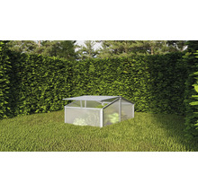 Gewächshaus im Garten mit geöffnetem Dachfenster