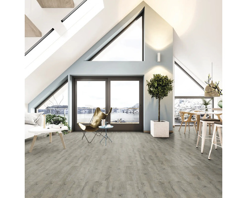 Heller Wohnraum mit Dachfenstern, Laminatboden, Sitzgelegenheiten und Zimmerpflanze