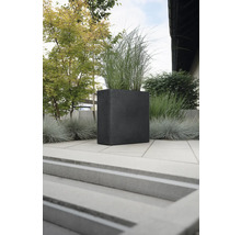 Raumteiler cube geli Kunststoff 60 x 26 x 60 cm anthrazit