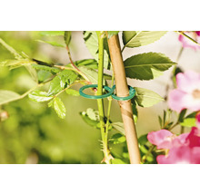 FloraSelf Ringbinder grün 25 Stück Pflanzklammern