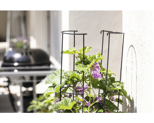 Blumenbeet mit Rankhilfe und blühenden Pflanzen