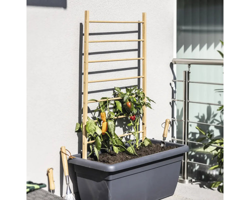 Hochbeet mit Rankhilfe aus Holz und Gemüsepflanzen sowie Gartengeräte