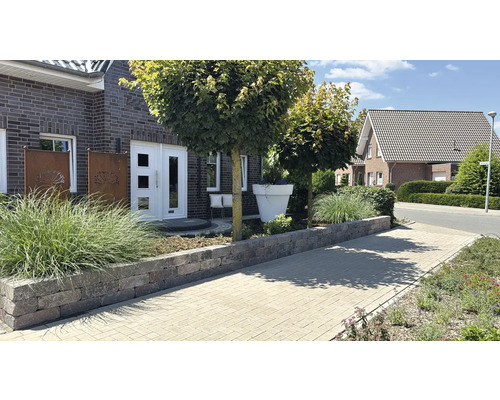 Hausfassade mit Pflasterweg, Mauer und Bepflanzung