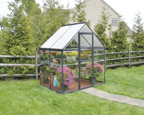 Gewächshaus mit Pflanzen im Garten