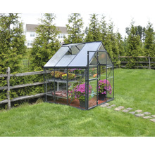 Gewächshaus mit Pflanzen im Garten