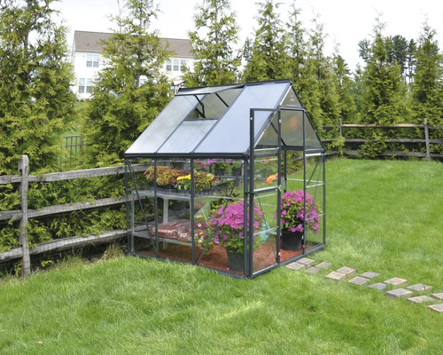 Gewächshaus mit Pflanzen im Garten