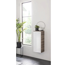 Badezimmer mit einem Hängeschrank in Weiß und Holzoptik, dekoriert mit einer Pflanze und einem dekorativen Objekt.