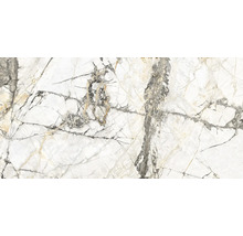 Feinsteinzeug Wand- und Bodenfliesen Calabria Golden Ice glänzend poliert 60 x 120 x 0,85 cm