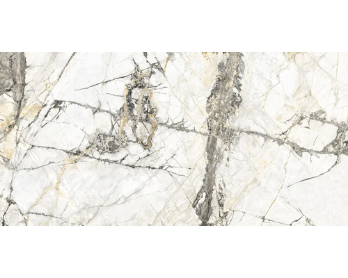 Feinsteinzeug Wand- und Bodenfliesen Calabria Golden Ice glänzend poliert 60 x 120 x 0,85 cm Feinsteinzeug Wand- und Bodenfliesen Calabria Golden Ice glänzend poliert 60 x 120 x 0,85 cm
